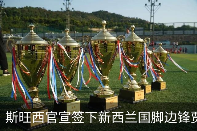 斯旺西官宣签下新西兰国脚边锋贾斯特 世界杯三场进三球